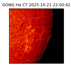 gong - 2025-10-21T22:00:42
