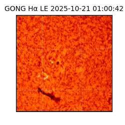 gong - 2025-10-21T01:00:42