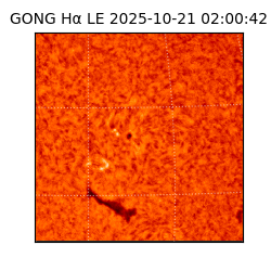 gong - 2025-10-21T02:00:42