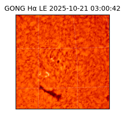 gong - 2025-10-21T03:00:42