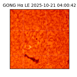 gong - 2025-10-21T04:00:42