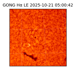 gong - 2025-10-21T05:00:42