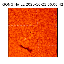 gong - 2025-10-21T06:00:42