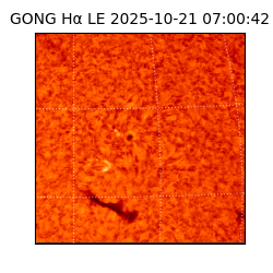 gong - 2025-10-21T07:00:42