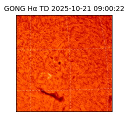 gong - 2025-10-21T09:00:22