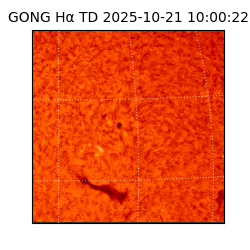 gong - 2025-10-21T10:00:22