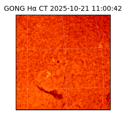 gong - 2025-10-21T11:00:42