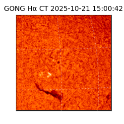 gong - 2025-10-21T15:00:42