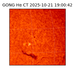 gong - 2025-10-21T19:00:42