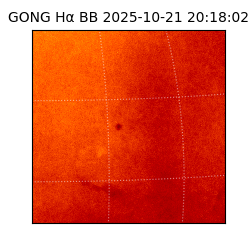 gong - 2025-10-21T20:18:02