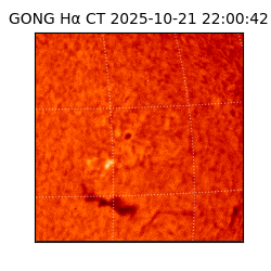 gong - 2025-10-21T22:00:42