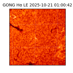 gong - 2025-10-21T01:00:42