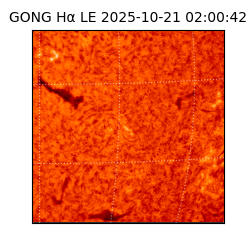 gong - 2025-10-21T02:00:42