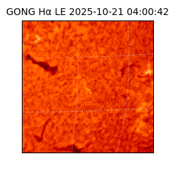 gong - 2025-10-21T04:00:42