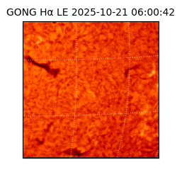 gong - 2025-10-21T06:00:42