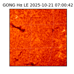 gong - 2025-10-21T07:00:42