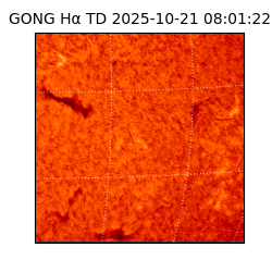 gong - 2025-10-21T08:01:22