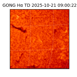 gong - 2025-10-21T09:00:22