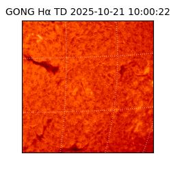 gong - 2025-10-21T10:00:22