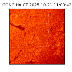 gong - 2025-10-21T11:00:42