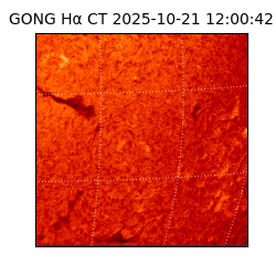 gong - 2025-10-21T12:00:42