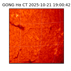 gong - 2025-10-21T19:00:42