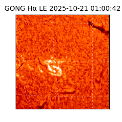 gong - 2025-10-21T01:00:42