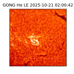 gong - 2025-10-21T02:00:42