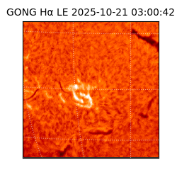 gong - 2025-10-21T03:00:42