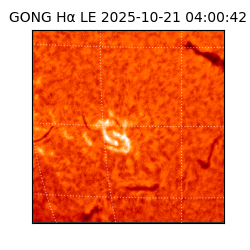 gong - 2025-10-21T04:00:42