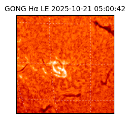 gong - 2025-10-21T05:00:42