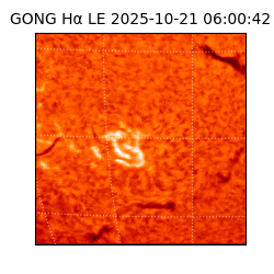 gong - 2025-10-21T06:00:42