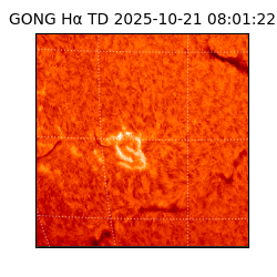 gong - 2025-10-21T08:01:22
