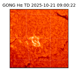 gong - 2025-10-21T09:00:22