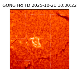 gong - 2025-10-21T10:00:22