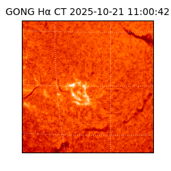 gong - 2025-10-21T11:00:42