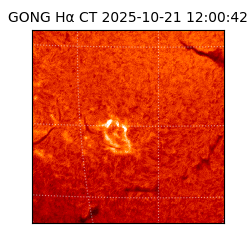 gong - 2025-10-21T12:00:42