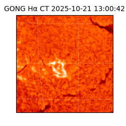 gong - 2025-10-21T13:00:42