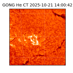 gong - 2025-10-21T14:00:42