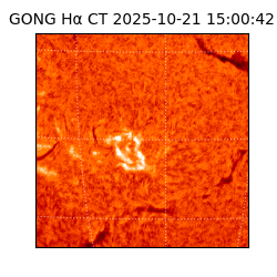 gong - 2025-10-21T15:00:42