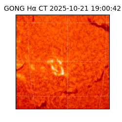 gong - 2025-10-21T19:00:42