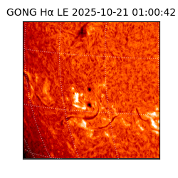 gong - 2025-10-21T01:00:42