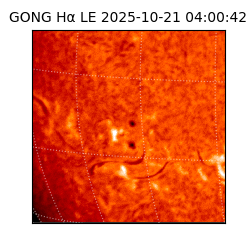 gong - 2025-10-21T04:00:42