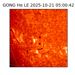 gong - 2025-10-21T05:00:42