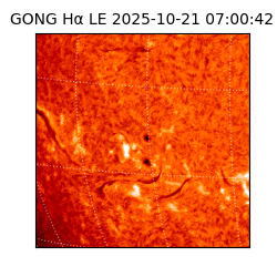 gong - 2025-10-21T07:00:42