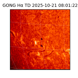 gong - 2025-10-21T08:01:22