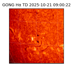 gong - 2025-10-21T09:00:22