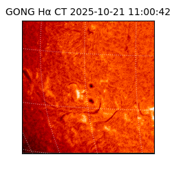 gong - 2025-10-21T11:00:42