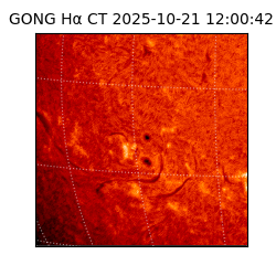 gong - 2025-10-21T12:00:42