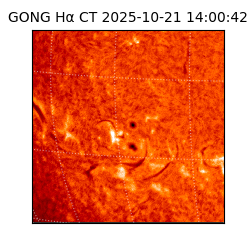 gong - 2025-10-21T14:00:42